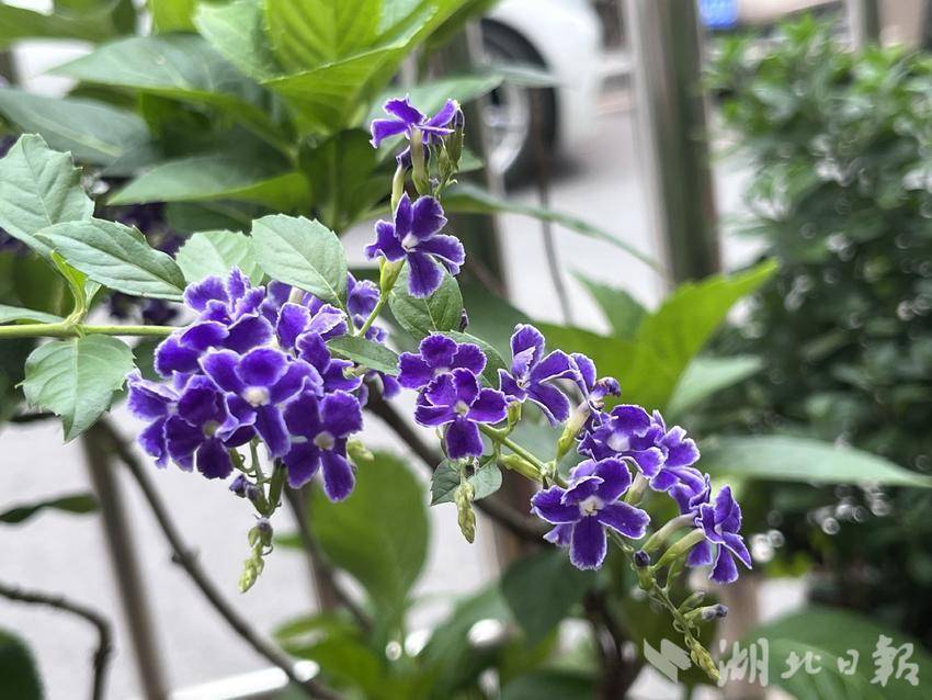 银河官方下载